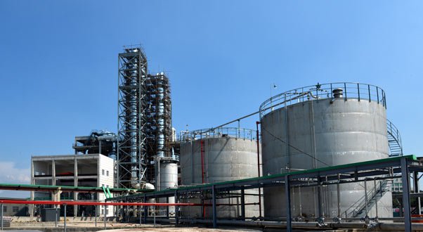 ����� | �ٷ���վ